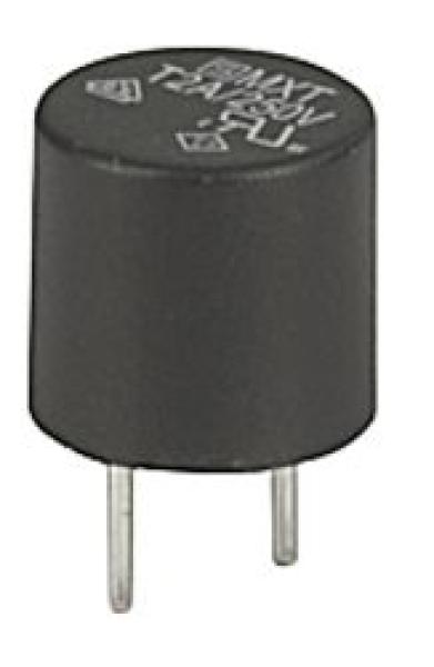 Radial Fuse 2A Slow-blow MXT, 0034.6618